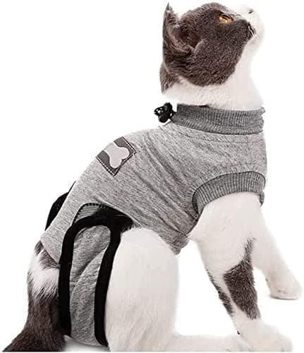 Kattens restitusjonsvest, profesjonell katterestaurering egnet for mage