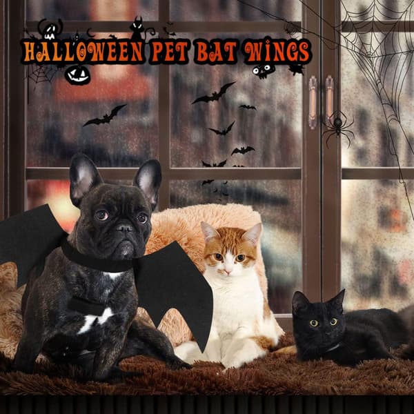 Dräkt för katter, Halloween-dräkt, hund, fladdermuskläder
