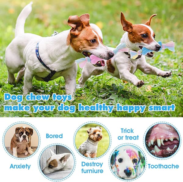3-pack Söta Interaktiva Tuggleksaker med Bomullsrep (Rosa, Blå, Gul)