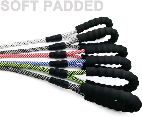 Robust Koppel för Hundar, 5ft Nylon Koppel för Husdjur, Mjukt Vadderat Grepp