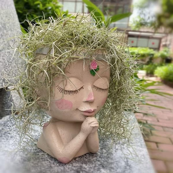 Ansiktsblomsterpotte Hodeplanter Sukkulentpotte Kaktusplanter