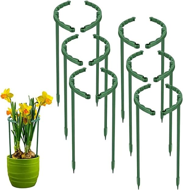 Växtklätterställning Växtstöd Trädgård Blomstöd S