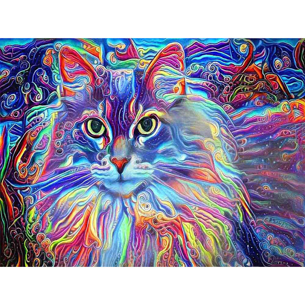 30 x 40 cm, Färgglad Katt Diamantmålning Diamantbroderi Smärta