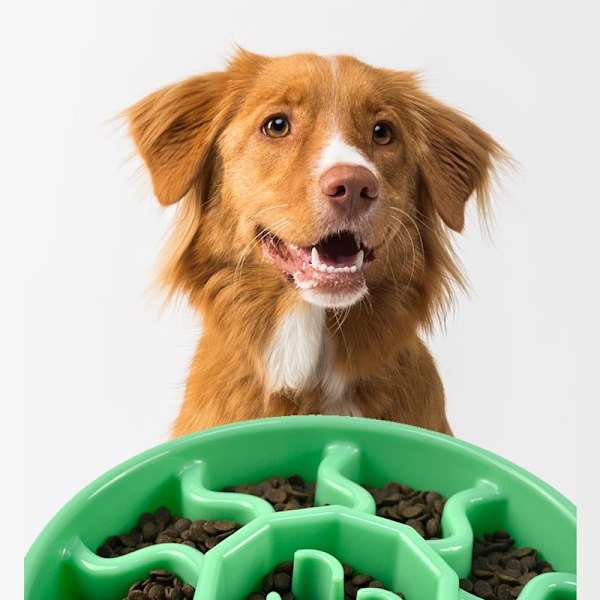 (Grøn) Slow Feed Hundeskål til Mellemstore og Store Hunde, Skridsikker Hunde Slow Feeder, Anti-Kvælnings Slow Food Skål, Kæledyrs Slo
