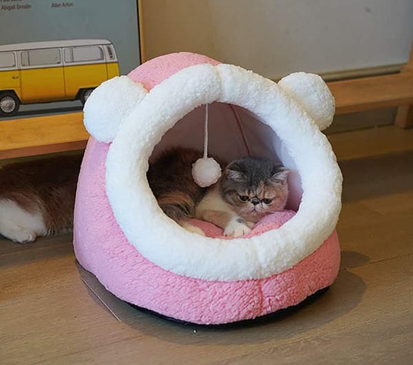 Kattetoalett Fire årstider Kattetoalett Kennel Høst og Vinter Vinter