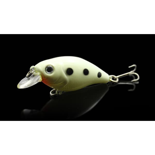 Bait & Tackle Syöttikotelo 5 kpl