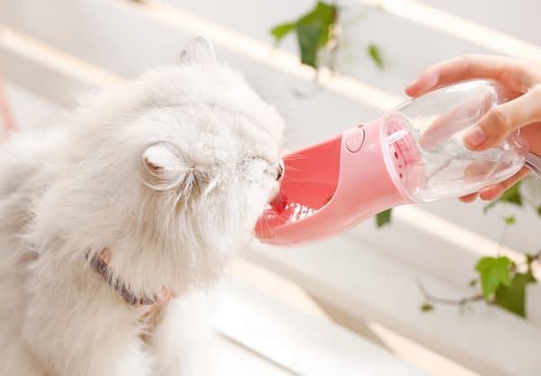 Drikkekop til kæledyr udendørs, bærbar drikkekop til kæledyr til udflugter, pink