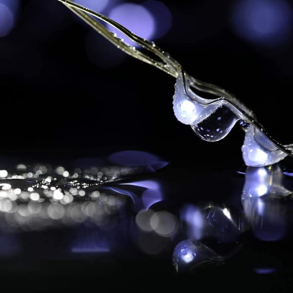 Fairy-valosarjat 12 kpl 20 LED Firefly Light Micro Wire Batte