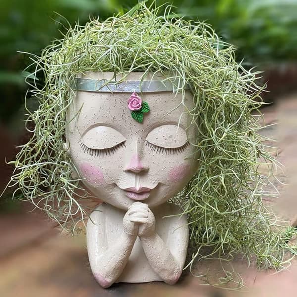 Ansiktsblomsterpotte Hodeplanter Sukkulentpotte Kaktusplanter