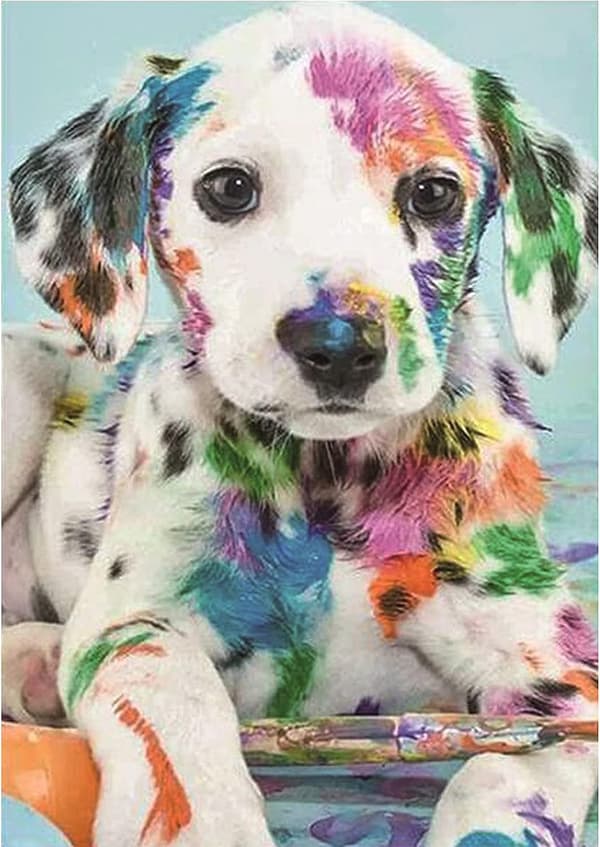 5D DIY Diamantkunstmalingssett Full Drill, Fargerik Hund Diamant