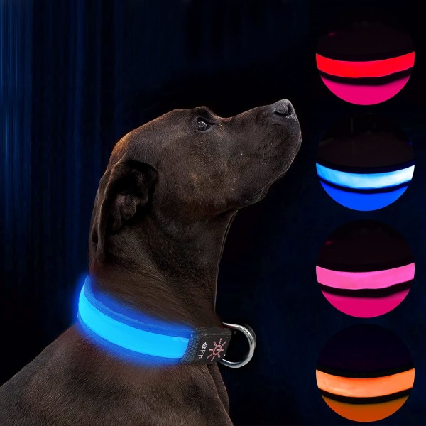LED Light Up Hundehalsbånd Vandtæt USB genopladeligt Hundehalsbånd, N