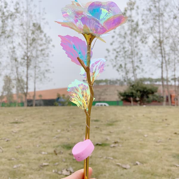 Rosengaver til hende, gaver til kvinder, rosenblomstgave til kvinder,