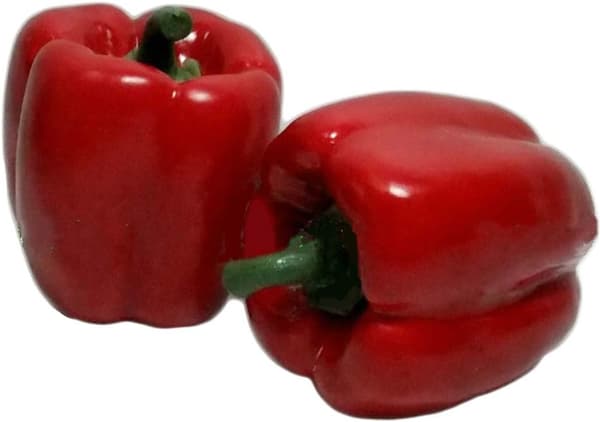 Kunstig Simuleret Falsk Peber Capsicum Kunstige Grøntsager