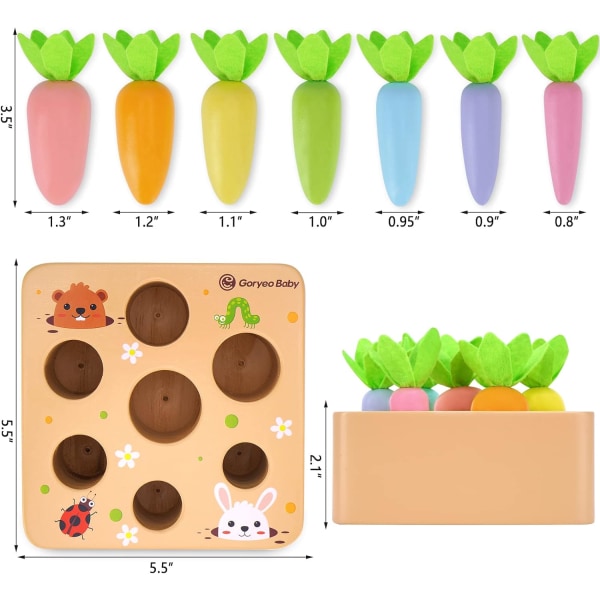 Jouets pour Enfants de 1 an, Couleur Jouets en Bois Jouet Bebe de