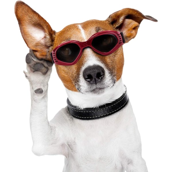 Koiran lasit, lemmikkieläinten aurinkolasit, taitettavat koiran lasit UV-suoja S