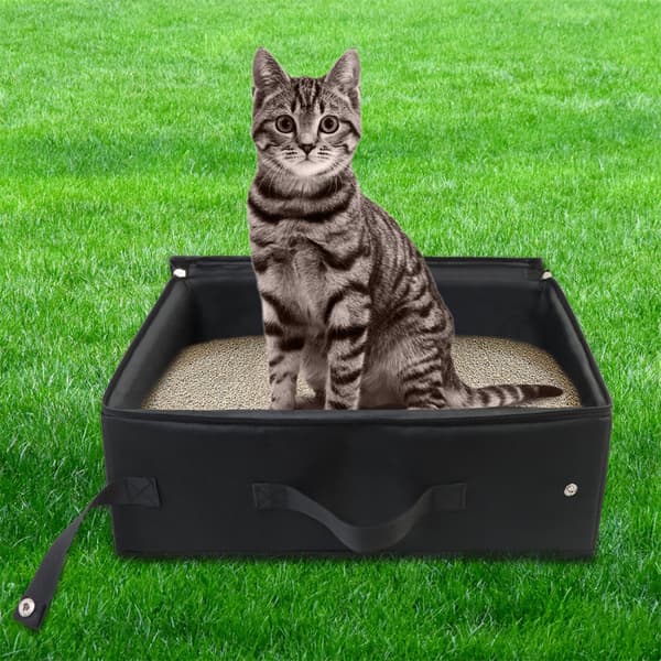 Kattlåda Classic Vikbar Bärbar