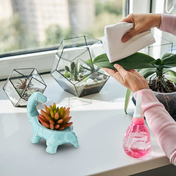 Söt Dinosaurie Keramik Blomkruka Succulent Växtkruka med Dränering