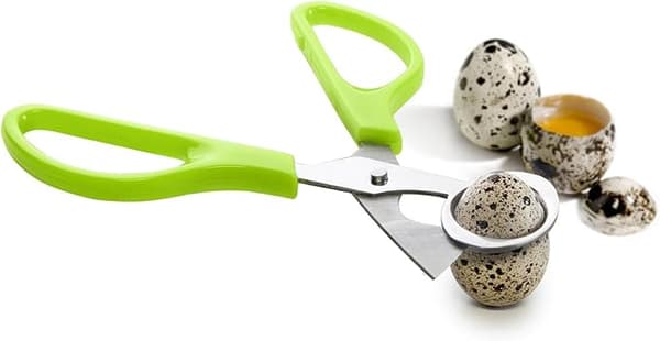 768200 Vaktel-eggesaks, rustfritt stål, grønn, 14 x 6 x 1 cm