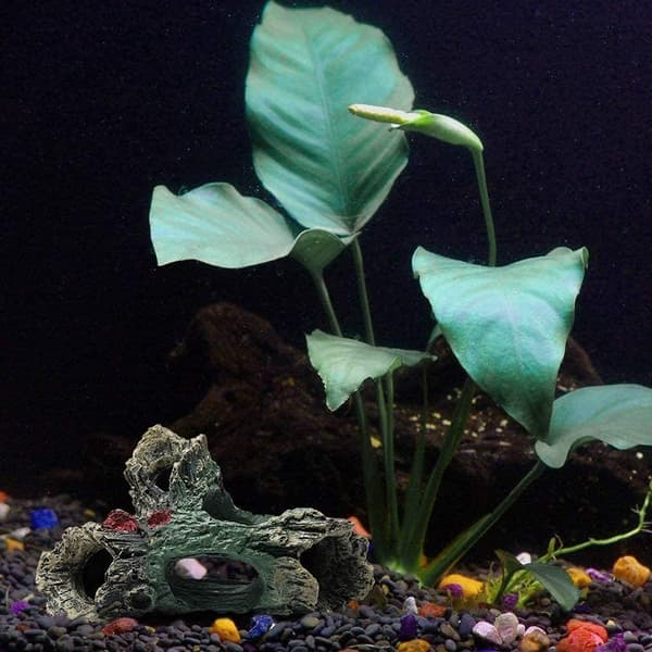 Akvariepynt, akvarielandskap dødveddekor for akvarium