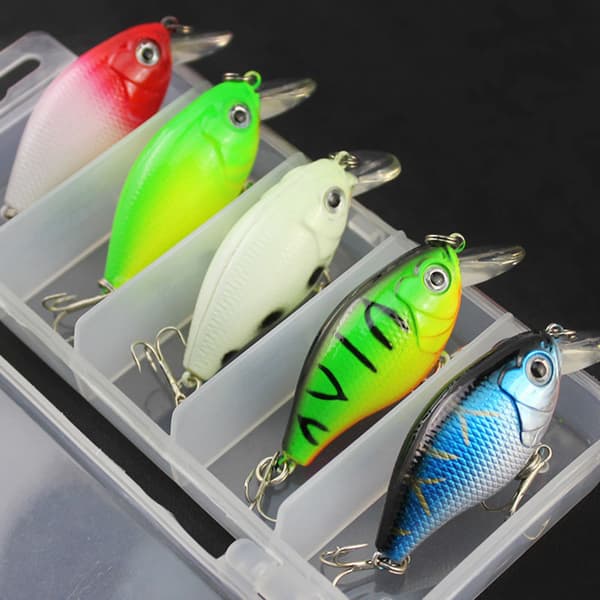 Bait & Tackle Beteförvaringslåda 5-pack