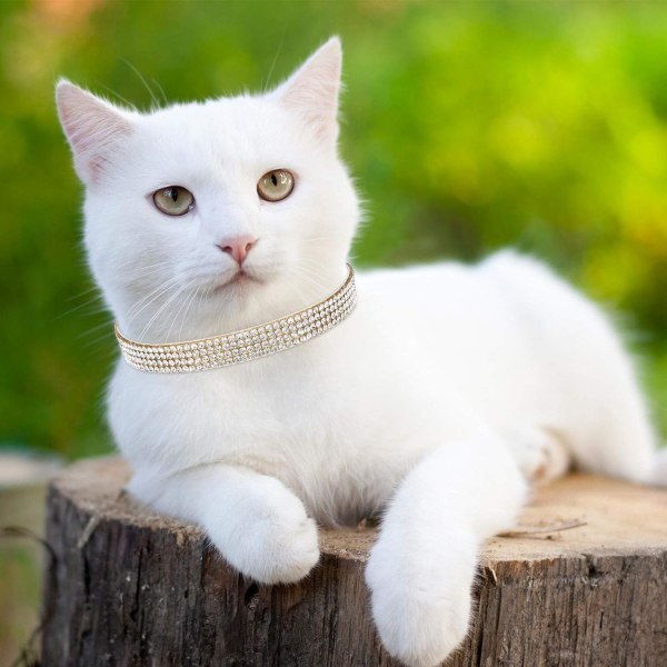 Kattehalsbånd med rhinsten Kattehalsbånd med Bell Bling Pet Colla