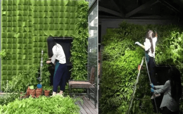 Vertikala vägghängande balkongblommor planteringsväskor för grönska