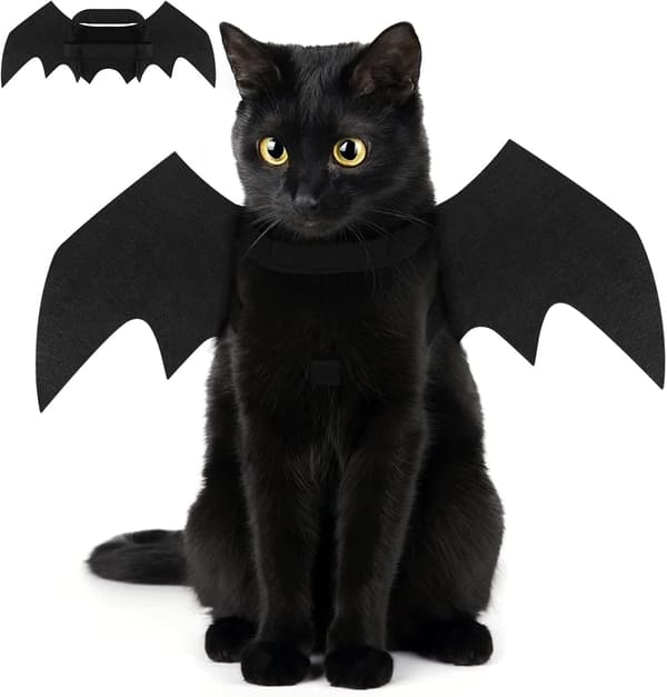 Dräkt för katter, Halloween-dräkt, hund, fladdermuskläder