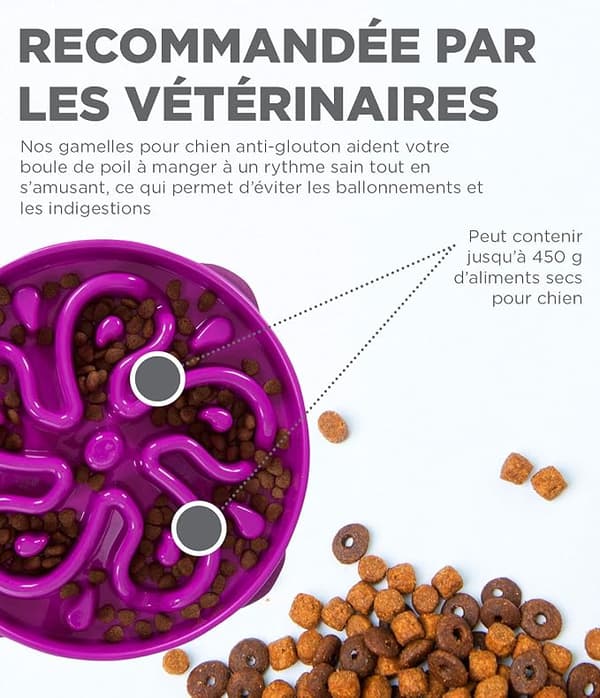 Anti-gluttonous saktefôringsskål for hunder - størrelse L/normal - lilla
