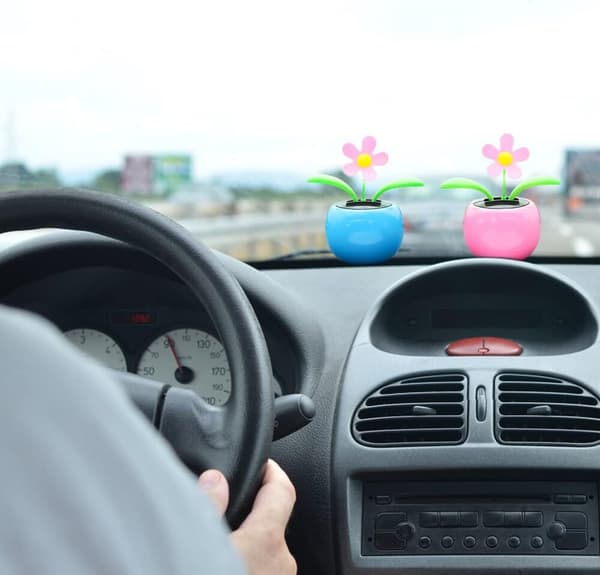 2 stk. soldansende blomster, bobblehead-bilpynt, solcellebil