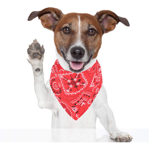 Modehundar Bandana Halsdukar Justerbara för Valp Liten Hund Katt (