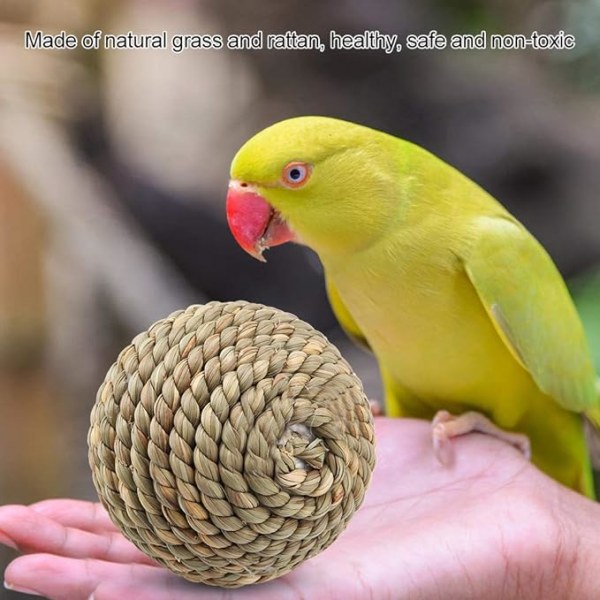 Husdjurs Rattan Boll Leksak Naturlig Säker Husdjurs Leksak Papegojleksak Boll Kanin