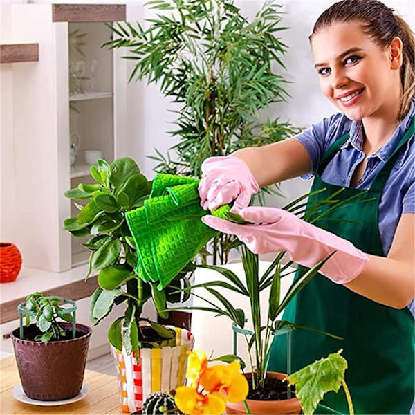 Växtklätterställning Växtstöd Trädgård Blomstöd S