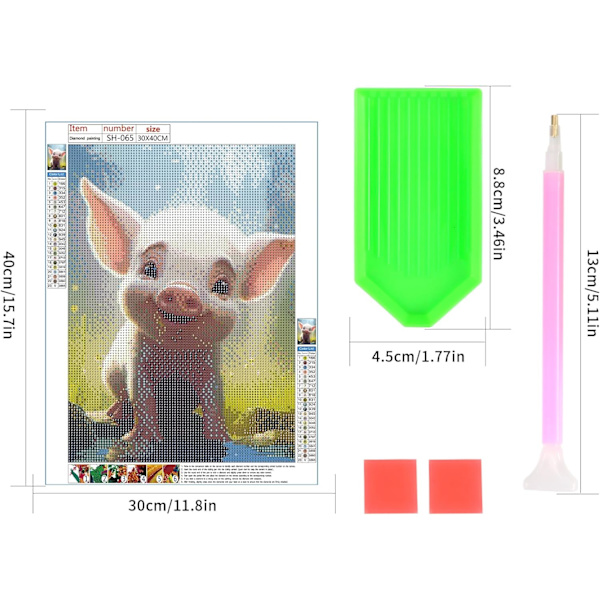 (12X16 tommer) 5D Diamantmaleri Kit, Mal efter Numre Kit - DI