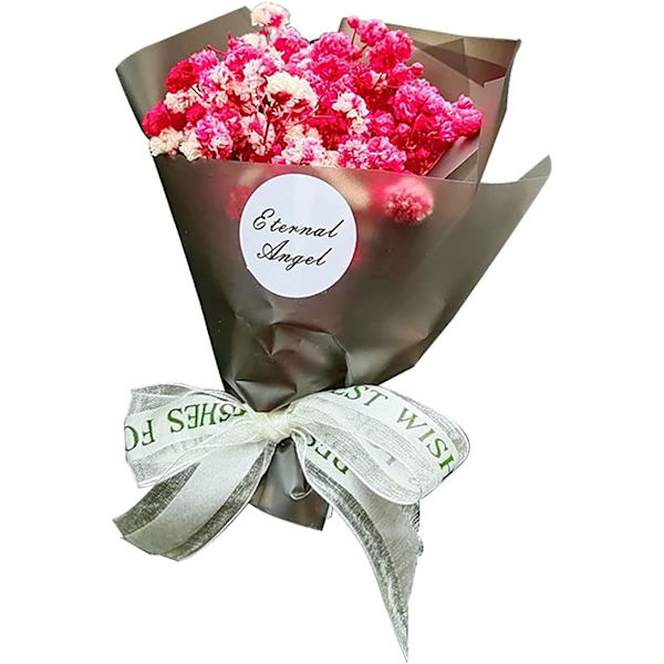 Torkad Blomma Gypsophila Bil Aromaterapi Diffuser Clip, Gypsophila Torkad