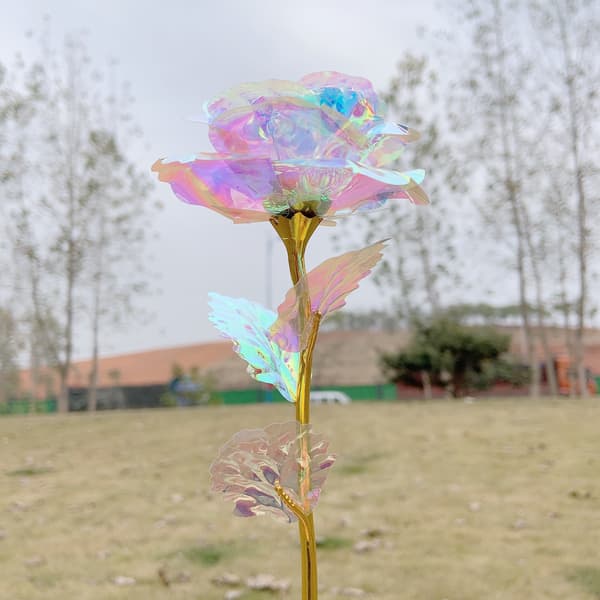 Rosengaver til hende, gaver til kvinder, rosenblomstgave til kvinder,