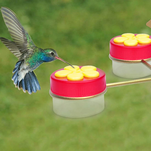 Hummingbird Handmatare Set med 4 Blommor Hummingbirdmatare Mini