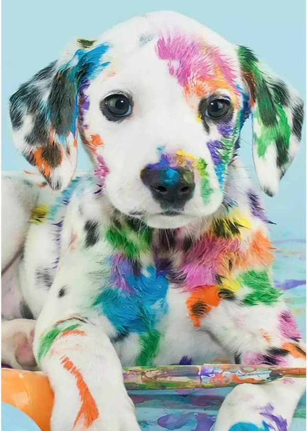 (30 x 40 cm) - Dalmatiner Hund DIY 5D Diamantmaleri Fuld Bor S