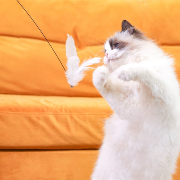 Katt Teaser Elastisk Ståltrådstav Interaktiv Fjäder Teaser Pole Katt Leksak för Uttråkade Innekatter Jaga och Träna Yellow