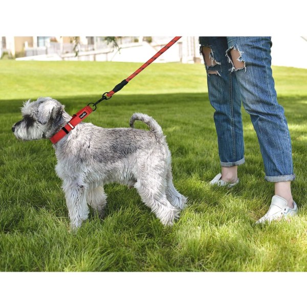 2 pakker Martingale hundehalsbånd med hurtigspenne reflekterende hundetreningshalsbånd for små middels store hunder Pink M