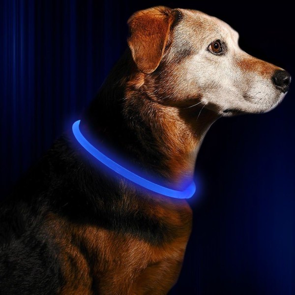 WJSMLED-halsband, USB uppladdningsbart, glödande djurhalsband för nattsäkerhet, mode för små medelstora hundar (Royal Blue) Royal Blue