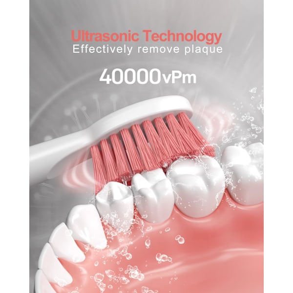 Sonic Elektrisk Tandbørste til Voksne med 8 Børster, IPX7 Vandafvisende Sonicare 38000VPM, Hurtig Opladning med Intelligent Tidspåmindelse 5 Valgfrie Tilstande White