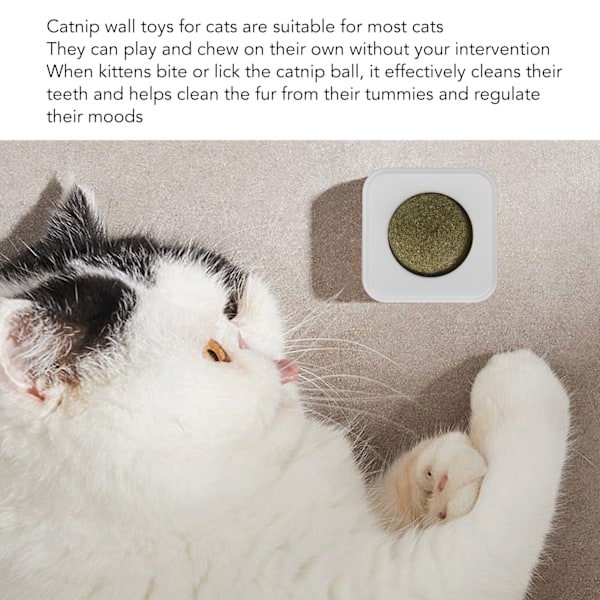 Kattmynta Boll 360 Grader Roterbar Limmad Tandborstning Humörreglerande Kattmynta Vägg Leksak för Husdjur Katt Grön