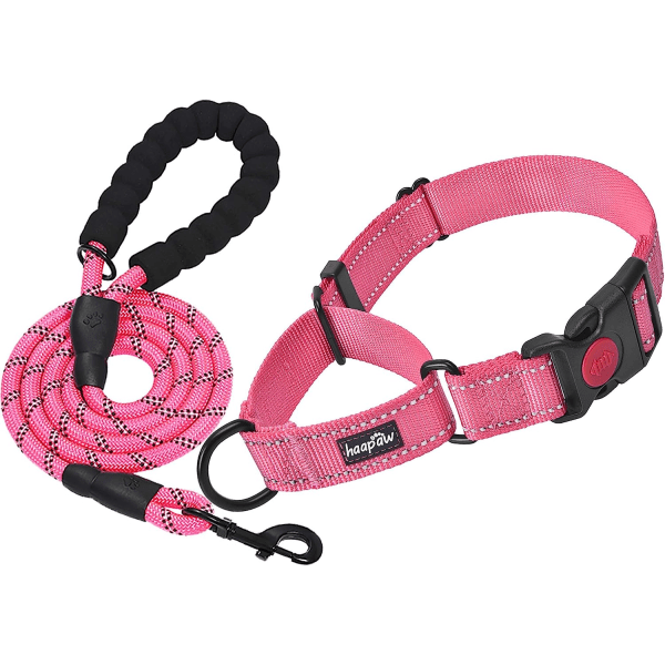 2 Packs Martingale Dog Collar with Quick Release Buckle Reflective Dog Training Collars for Small Medium Large Dogs (Collar+Leash,L Neck 17"-21", Pin