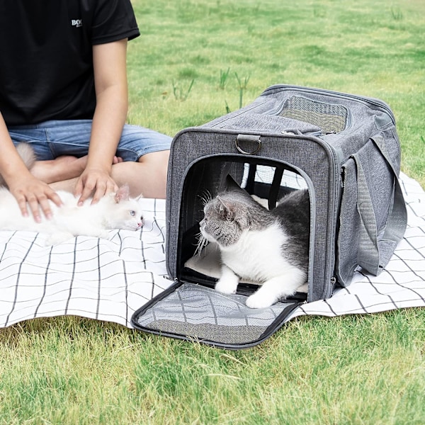 Dyrtransportbur for store katter, myk-sidig kattebur for mellomstore og store katter og valper opptil 9 kg, vaskbar hundebur med personvern for hjemme og utendørs Grey L