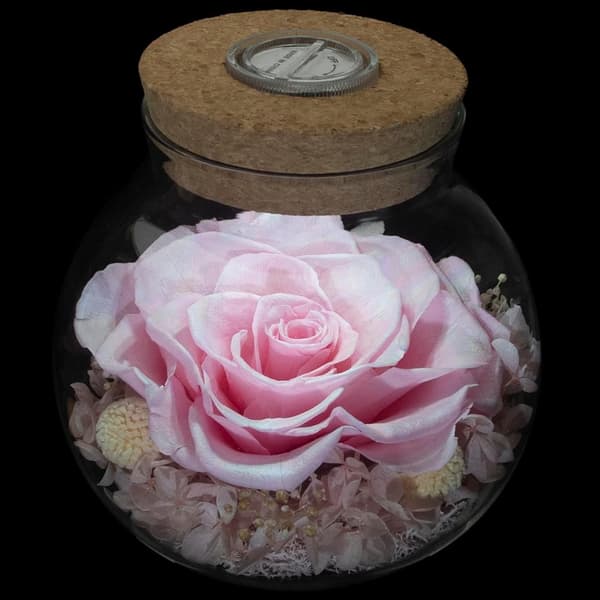 4-hulrum 3D Mangoform Silikoneform, Realistisk Frugt Silikone Bageform til Mousse Kage, budding, is, gelé, chokolade, Pink