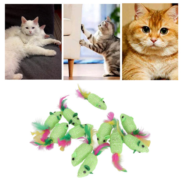11 stk Mus Katteleke Multipurpose Squeaky Interactive Cat Toy Mus for katter og kattunger Grønn