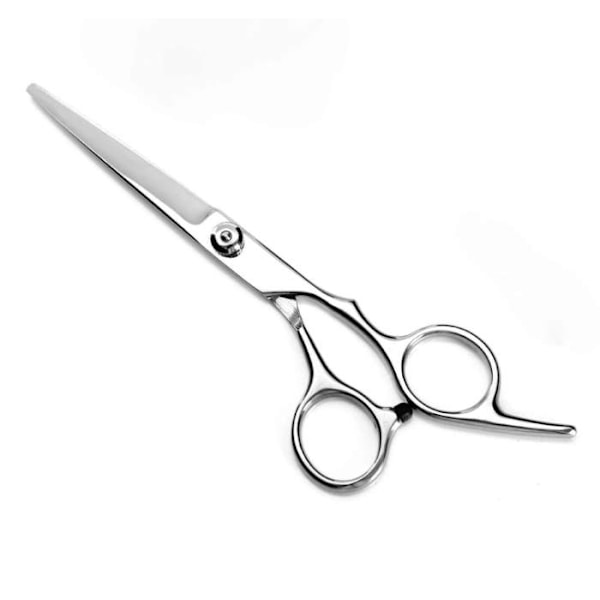 Hairdressing Scissors and Thinning Scissors with Case Advanced + Free Comb