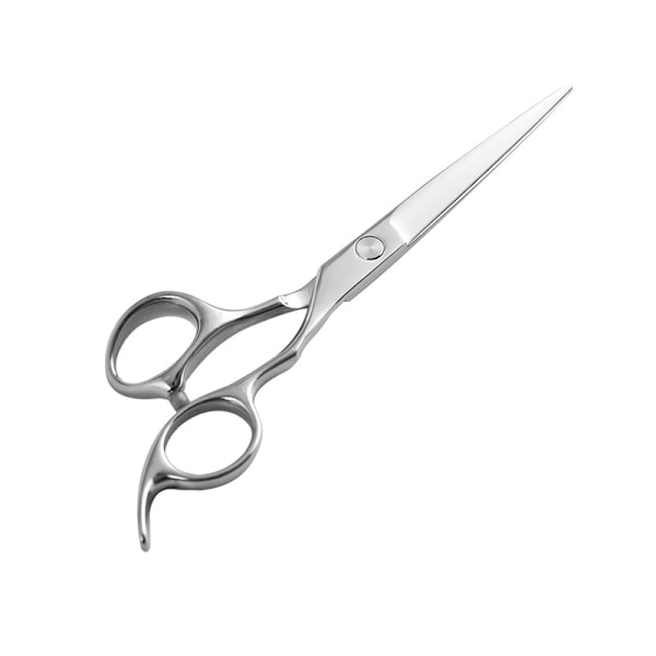Professional hairdressing scissors and thinning scissors with case Lyx
