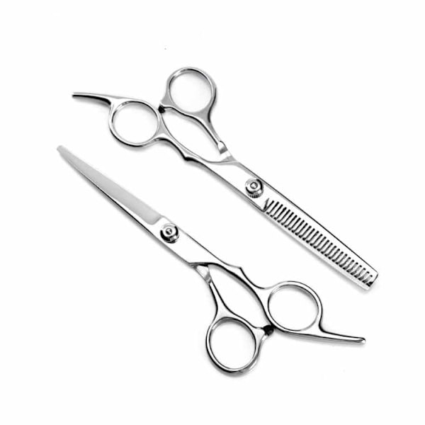 Hairdressing Scissors and Thinning Scissors with Case Advanced + Free Comb