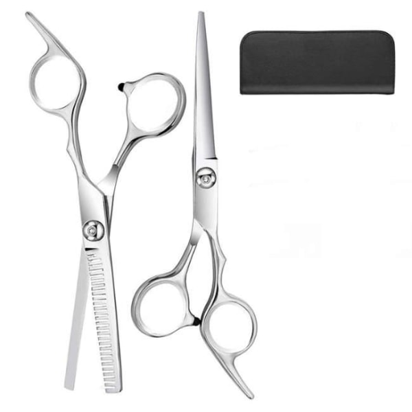 Hairdressing Scissors and Thinning Scissors with Case Advanced + Free Comb